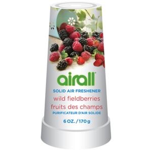 Airall lesné plody osviežovač vzduchu 170g